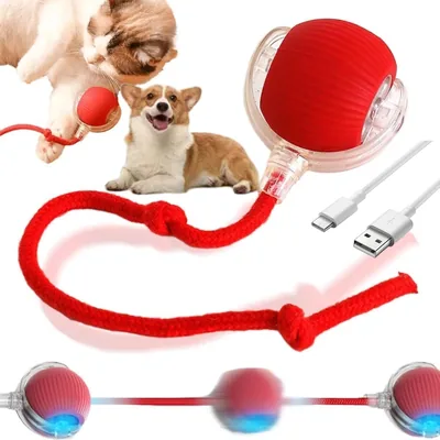 Juguete Interactivo Genérico para Perros, Pelota 2026 con Descuento del 20%