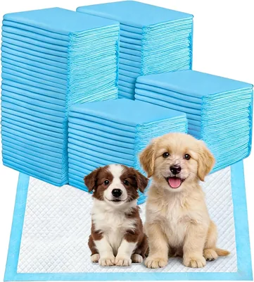 RUWIXGUU 50 Piezas Tapete Entrenador para Perro, Pañales para Perro | Almohadillas De Entrenamiento para Perros Mas