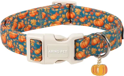 Cute Fall Pumpkin Puppy Collar - Best Deal