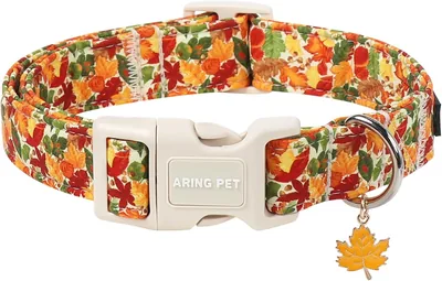Cute Fall Dog Collar - Autumn Leaves Puppy Collar Best Deal