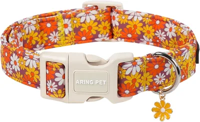 Fall Daisy Puppy Collar - Best Deal