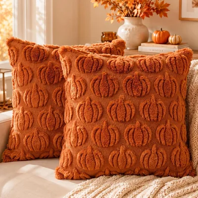 OLANRUN Fall Pillow Covers 18x18 Set of 2 - 13% Off