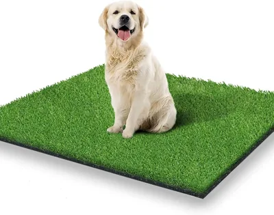 STARROAD-TIM Fake Grass 75 X 110 CM Pee Pad