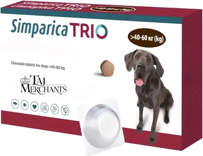 SIMPAR I C च्वेबल्स कुत्तों के लिए (40-60 kg) | (1 च्वे), 13% ऑफ