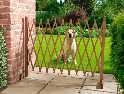 New||Freestanding Expanding Wood Trellis Gate, Foldable Wooden Pet Barrier for Garden and Outdoor Us