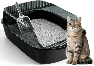 Open Cat Litter Box with High Side, Anti-Splashing Cats Litter Pan, Semi-Enclosed Removable Kitten T