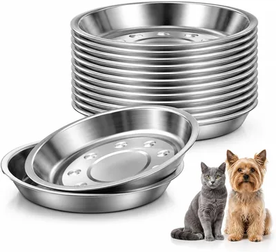 Cat Bowls 12 Pack Stainless Steel Wide Food & Water Set Best Deal