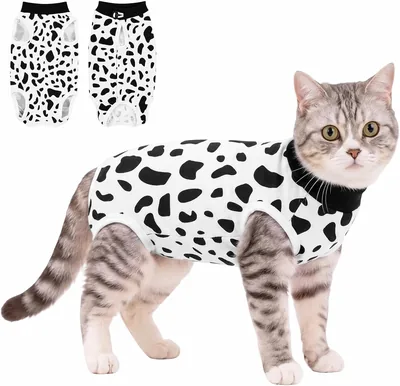 DoggieKit Cat Recovery Suit After Surgery Onesie - Best Deal