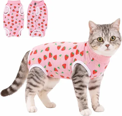DoggieKit Cat Recovery Suit After Surgery Onesie - Best Deal