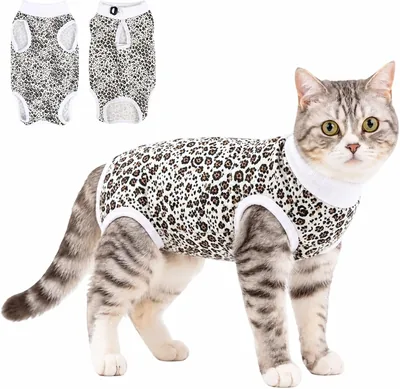 DoggieKit Cat Recovery Suit After Surgery Onesie Adjustable Best Deal