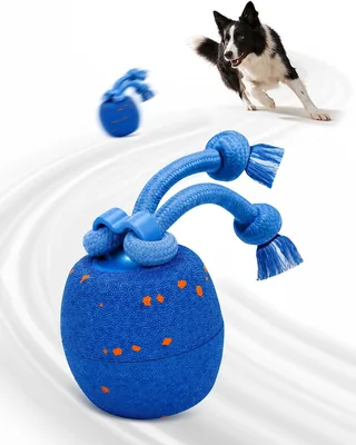 Smart Interactive Dog Toy Ball - Blue