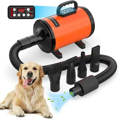 Advwin Dog Dryer LCD Temp Control Best Deal