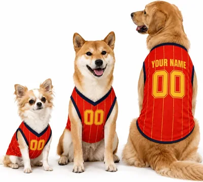 Camiseta de Fútbol Personalizada para Perros España 2026 con Nombre y Número, Ropa Deportiva para Mascotas, Poliéster Transpirable