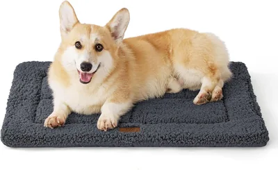 MOFULAB Dog Crate Bed - Best Deal