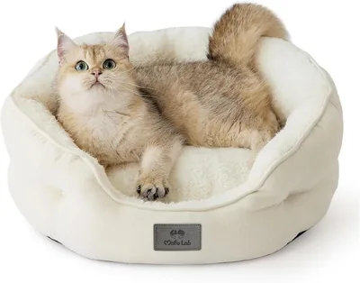MOFULAB Round Pet Bed for Small Dogs & Cats - Best Deal
