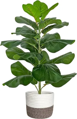 Artificial Tree 85cm Fiddle Leaf Fig with Basket Pot Best Deal