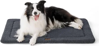 MOFULAB Dog Crate Bed - Best Deal