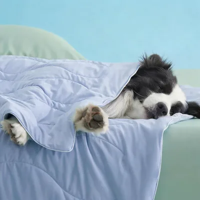 MOFULAB Premium Cooling Blanket for Extra Large Dog - Q-MAX>0.5, Breathable Summer Washable Cold Pet