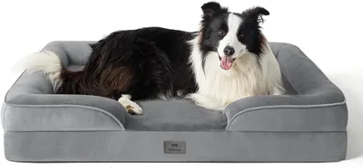 MOFULAB Orthopedic Dog Bed Best Deal