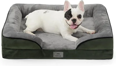 MOFULAB Orthopedic Dog Bed Best Deal