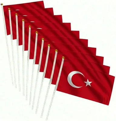 2026 World Cup Flags 10 Pack - 21x14 cm with Poles for Sporting Events & Parties