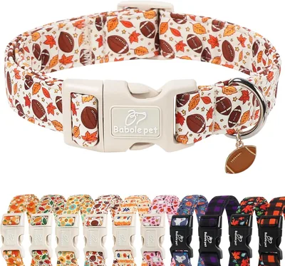 Babole Pet Fall Football Dog Collar