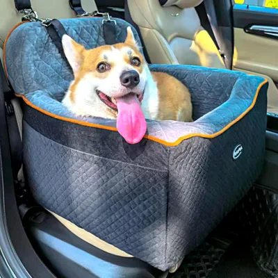 Palamil Dog Car Seat Best Deal