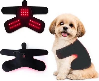 Luz Roja Terapeutica Mascotas: Dispositivo de Terapia de Luz Roja Portátil para Perros, 3 Niveles de Luz para Aliviar el Dolor (22% Descuento)