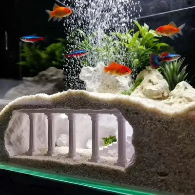 تنانير حوض السمك - نفق وكهف للأسماك، مناسب لـ Pleco و Corydoras مع فتحات مشاهدة وقاعدة غارقة