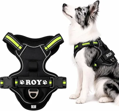 イヌヤ プラス ドッグ ハーネス 中大型犬用、耐久性に優れたハーネス、毛落ち防止、オリジナル名札付き、スタイリッシュで着せやすい |