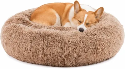 DUMOS Donut Dog Bed 40% Off