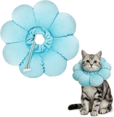QKURT Cat Cone Collar Soft Adjustable Pet Recovery – Best Deal