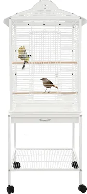 Få den stora Birdcage Budgie med räder 48 mm - Paradist för parakeater och parrots, med frivillig tak öppning, utvidbar box, matbollar