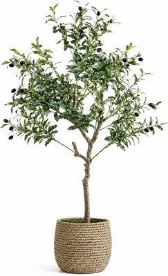 Artifikel Olivträd 120 cm med pott, Artifical Plants Inre