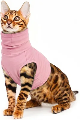 Protector de Cuello para Gatos PUMYPOREITY, Cubre el Área del Cuello para Prevenir Irritación y Rasguños (Rosa Cherry, X)