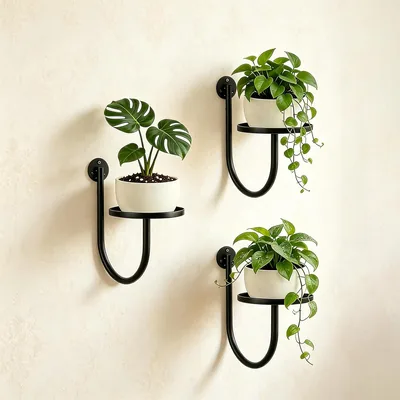 3 paket Väggpot & Plantholder i Svart Metall, Plantfack för Inneplanterade Potter, Väggmonterad Pottholder för Fenstren