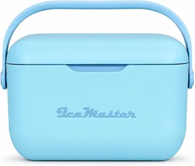 IceMaster Cooler Box 20L: Retro Portable Cooler w/Handle & Strap
