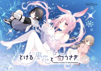 とける風花とシロうさぎ - 最高の取引