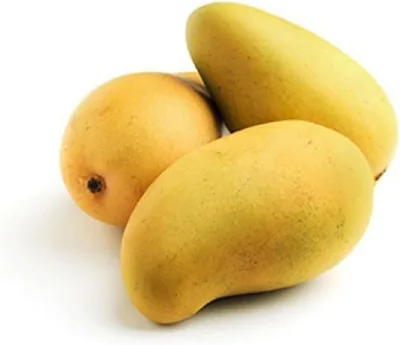 Fresh Sindhri Mango Premium By Air 450-500g (Pakistan) - Best Deal