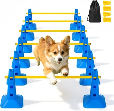 YGORTECH Dog Agility Starter Kit Best Deal