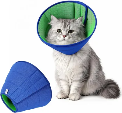 Qiuma エリザベスカラー 犬 猫 ソフト 調整可能 通気性 軽量 折りたたみ可能 リカバリーカラー... Best Deal