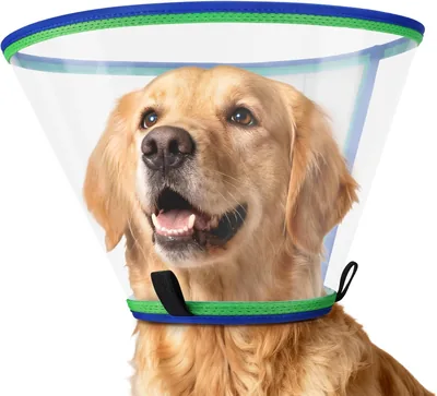 Qiuma エリザベス 犬用カラー（透明タイプ） - 回復色、調整可能、軽量で通気性抜群