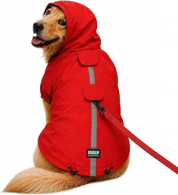 Zigly Lifestyle Rain Ready Dog Raincoat, लाल, एल | रिफ्लेक्टिव स्ट्रिप्स, वॉटरप्रूफ, हल्का, एडजस्टेबल हुड, एडजस्टेबल बेल