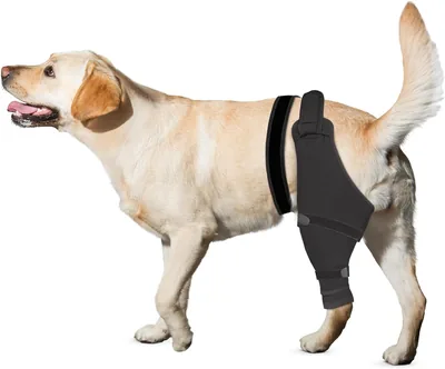 PetPal Dog Rear Leg Sleeve - TPLO Recovery Suit Alternative Best Deal