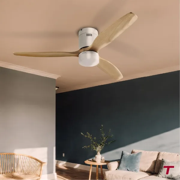 Ventilateur de plafond THOMSON avec OLIA lumière et pales en bois certifié FSC, diamètre 132 cm + télécommande incluse - Meilleur Prix
