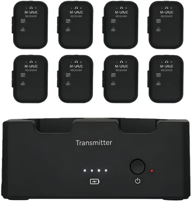 M-VAVE SWS-12 IEM System Best Deal