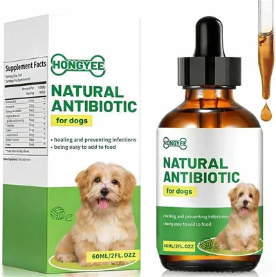 Natural Antibiotics for Dogs