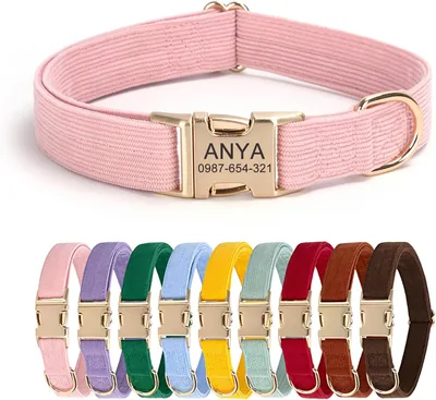 Collar Personalizado para Perro con Nombre y Número