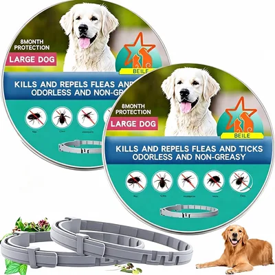 Collares Impermeables Ajustables para Perro y Gato 2 Piezas | Ligeros para Uso Diario