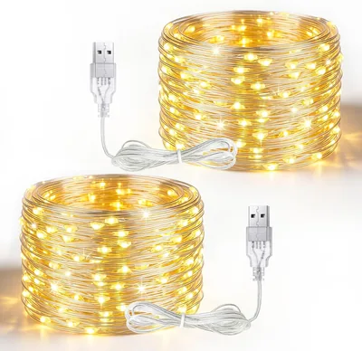 btfarm Pack von 2 Indoor USB Feenlicht 5 m 50 LED Warmweiß | IP65 Wasserdicht Silberschlauch, USB-Anschluss, Mini Feenlicht